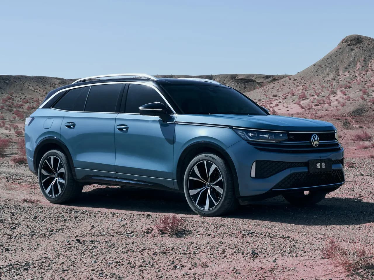 Volkswagen Tavendor