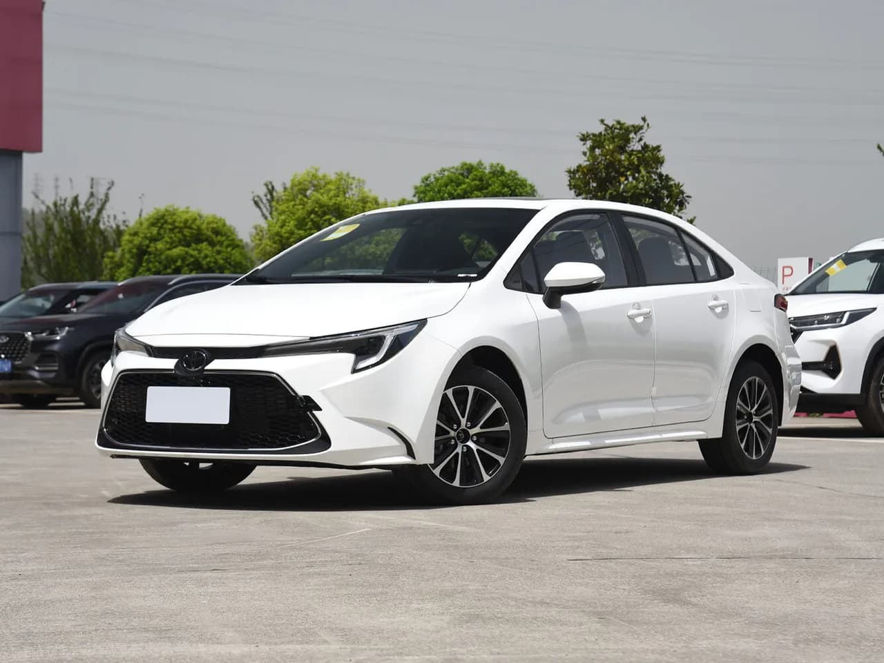 Toyota Levin