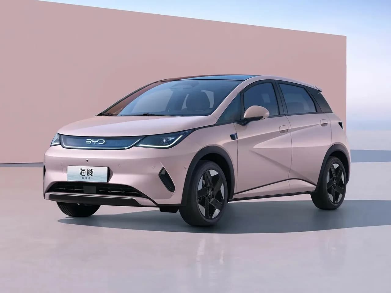 BYD Dolphin