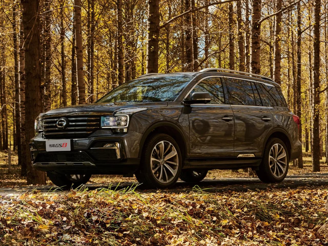GAC Trumpchi GS8