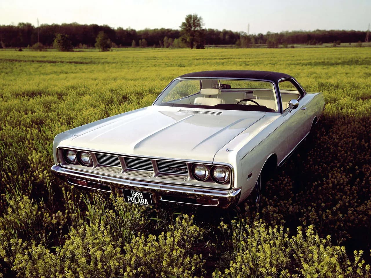 Dodge Polara